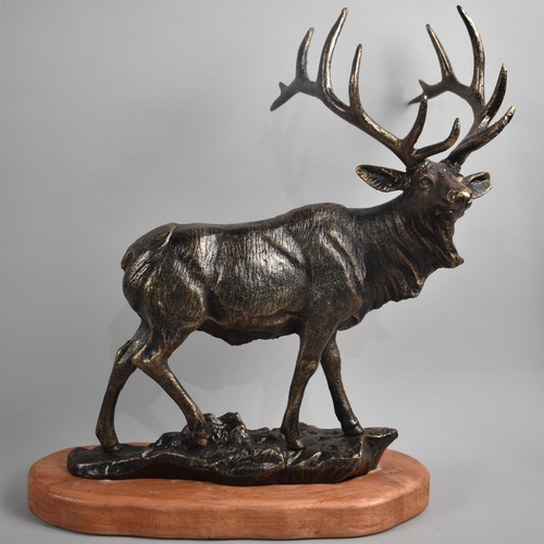 20 - A Large Bronze Effect Cast Iron Study of a Stag, Mounted on Wooden Oval Plinth, 46cms High, Plus VAT