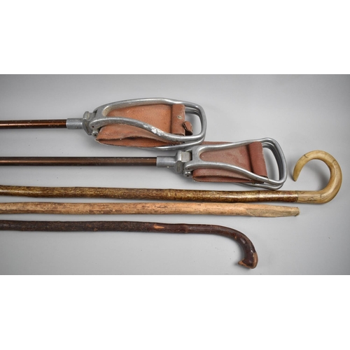 202 - A Collection of Two Shooting Sticks, Shepherd's Crook, Walking Sticks