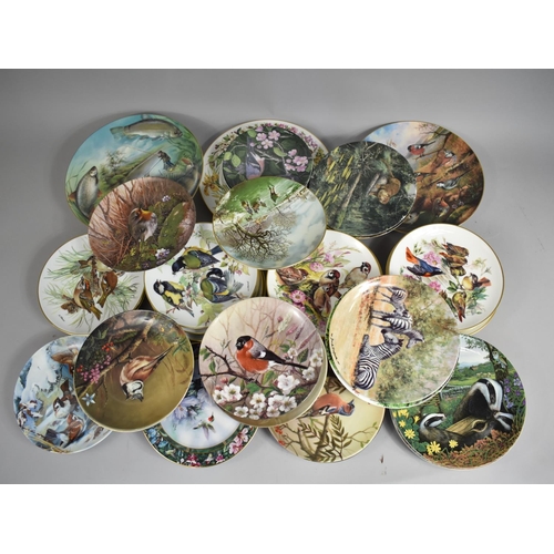 316 - A Large Collection of Various Bird and Animal Decorated Collectors Plates to Include Examples by Wed... 