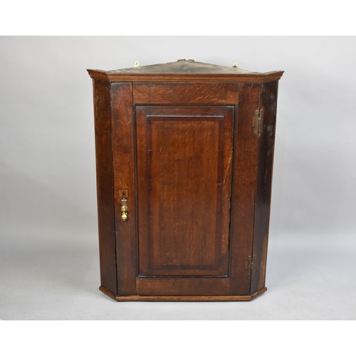 408 - A 19th Century Oak Wall Hanging Corner Cabinet with Shaped Inner Shelves, 74.5cms Wide