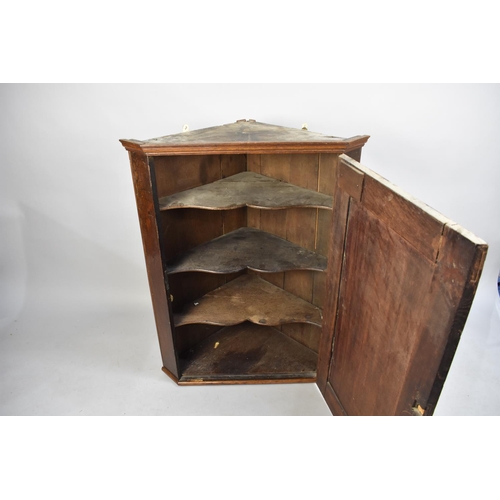 408 - A 19th Century Oak Wall Hanging Corner Cabinet with Shaped Inner Shelves, 74.5cms Wide