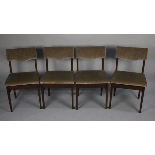 443 - A Set of Four 1970s Dining Chairs