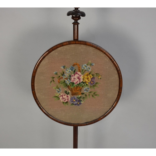 64 - A  Victorian Mahogany Rise and Fall Pole Screen with Circular Tapestry Panel on Circular Base with T... 