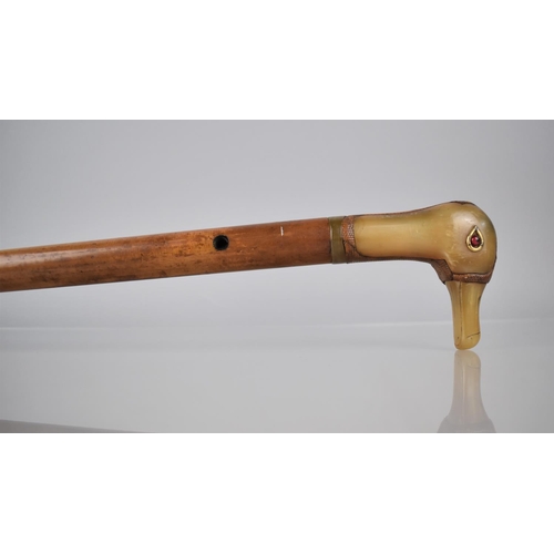 203 - A Nice Quality Early 20th Century Malacca Shafted Walking Stick with Duck Head Handle Formed from Ho... 