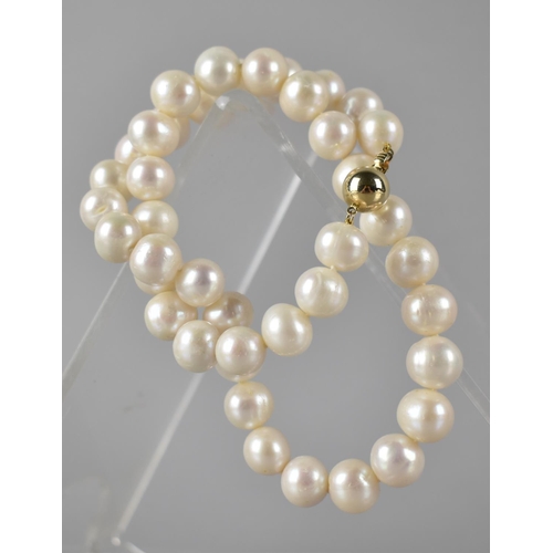 211 - A String of White Freshwater Cultured Pearls, Varying Sizes (Between 10mm-12mm) on Knotted Thread, 4... 