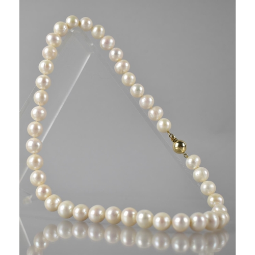 211 - A String of White Freshwater Cultured Pearls, Varying Sizes (Between 10mm-12mm) on Knotted Thread, 4... 