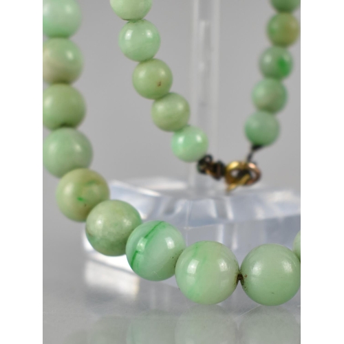 220 - A String of Graduated Jade Beads, Largest Spherical Bead Measuring 9.5mm Diameter, Varying Shades on... 