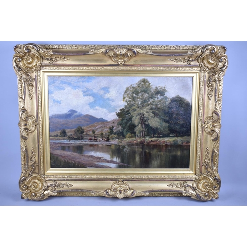 125 - A Large Gilt Framed Oil on Canvas Depicting Cattle Drinking in Scottish River, Signed Bottom Left Da... 