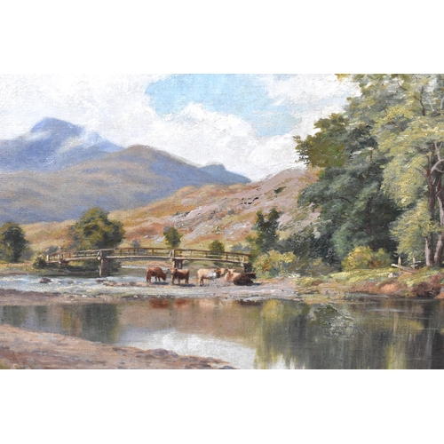 125 - A Large Gilt Framed Oil on Canvas Depicting Cattle Drinking in Scottish River, Signed Bottom Left Da... 