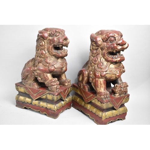 155 - A Pair of Carved Wooden Temple Lions sat on Rectangular Thrones, 30cm High