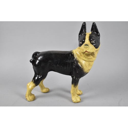 160 - A Cold Painted Cast Iron Study of a Boxer Dog, 17cm Wide