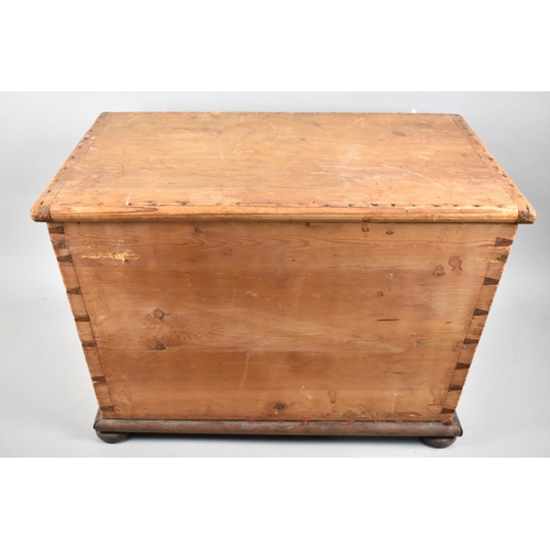 203 - A Late 19th Century Stripped Pine Box with Hinged Lid, 55cms Wide