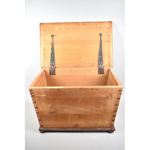 203 - A Late 19th Century Stripped Pine Box with Hinged Lid, 55cms Wide