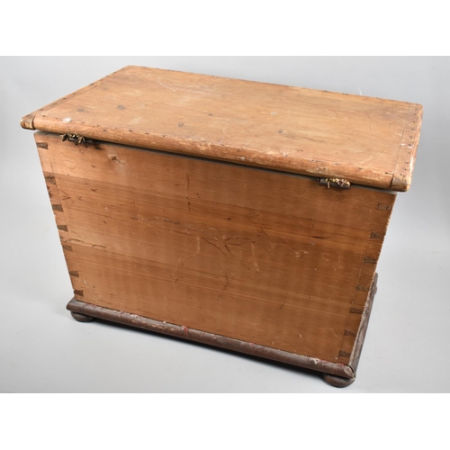 203 - A Late 19th Century Stripped Pine Box with Hinged Lid, 55cms Wide