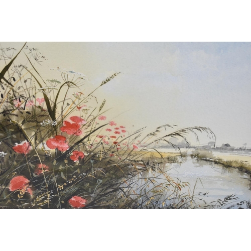 289 - A Framed Watercolour, Poppies Looking Towards Whittlesey Across the Herne, Signed D Massey, Subject ... 