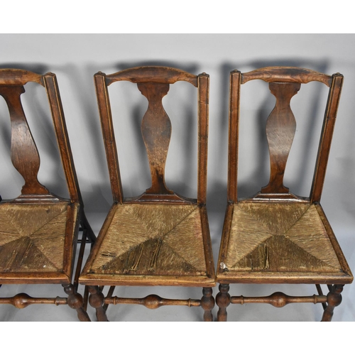 516 - A Set of Four 19th Century Oak Framed and Rush Seated Dining Chairs with Shaped Splat Back Having Tu... 