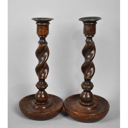 61 - A Pair of Oak Barley Twist Candlesticks, 26cs High