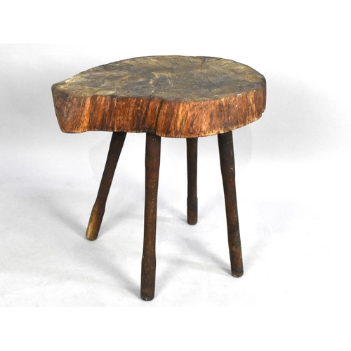 72 - A Rustic Garden Stool Formed From a Section of Elm Tree Trunk on Four Turned Supports, 50cms High