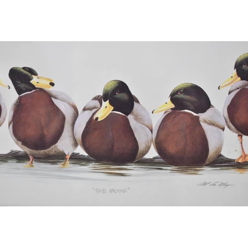 442 - A Pair of Framed Duck Prints, 