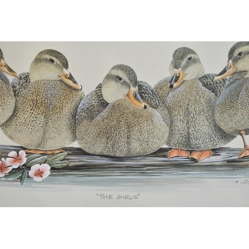 442 - A Pair of Framed Duck Prints, 