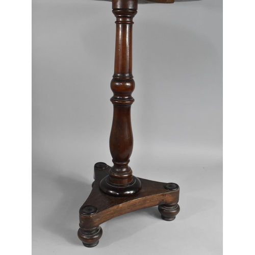 72 - A Mid 19th Century Mahogany Circular Topped Table on Triform Base, 52cms Diameter