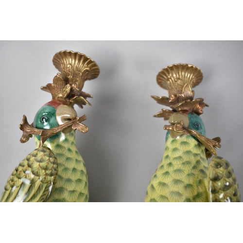 87 - A Pair of Continental Wall Hanging Porcelain and Bronze Candle Sconces in the Form of Parrots, 47cms... 