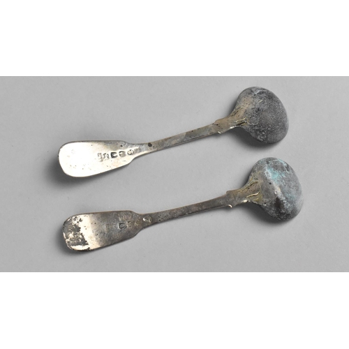 377 - A Pair of Two Georgian Condiment Spoons