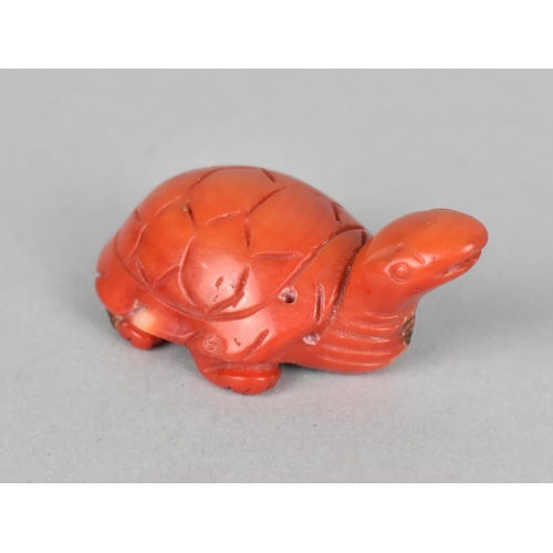 457 - A Carved Coral Study of a Tortoise, 27g (Neck Glued)