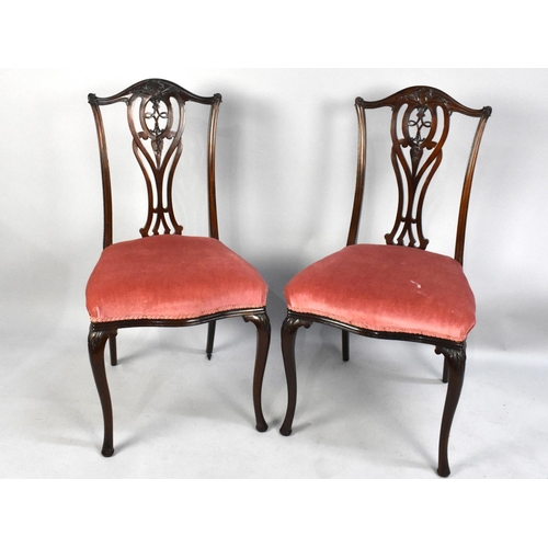 503 - A Pair of Edwardian Mahogany Salon Side Chairs with Cabriole Supports and Pierced Splats