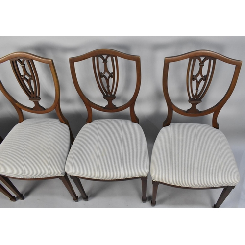 506 - A Set of Four Shield Back Dining Chairs