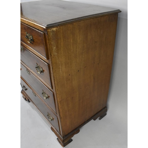 117 - An Edwardian Mahogany Chest of Two Short and Three Graduated Long Drawers, 67cms Wide