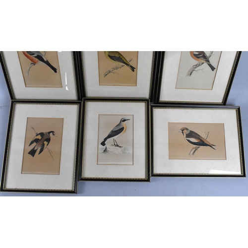 213 - A Collection of Various Framed Book Plates, British Birds, Each Approx 15x11cms