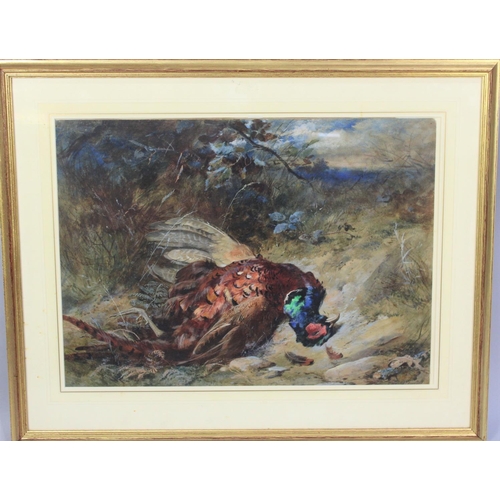 280 - James Hardy Junior (British, 1832-1889), Watercolour and Gouache, Cock Pheasant, Signed, 66x48cm