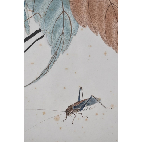 301 - A Framed Oriental Print, Cricket, 25x29cm