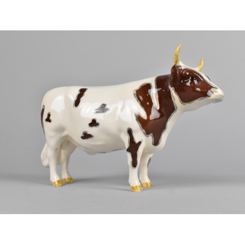 378 - A Beswick CH Whitehill Mandate Ayrshire Bull (Nick to horn)