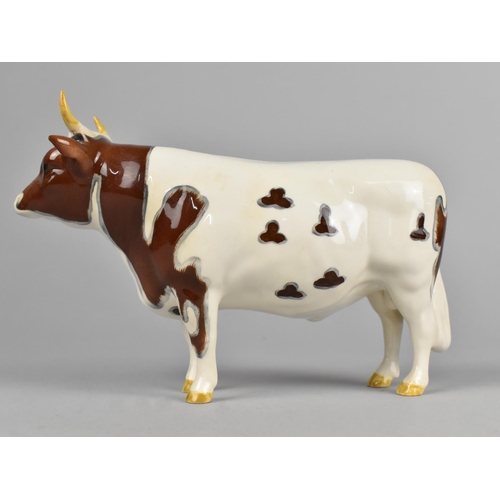 378 - A Beswick CH Whitehill Mandate Ayrshire Bull (Nick to horn)