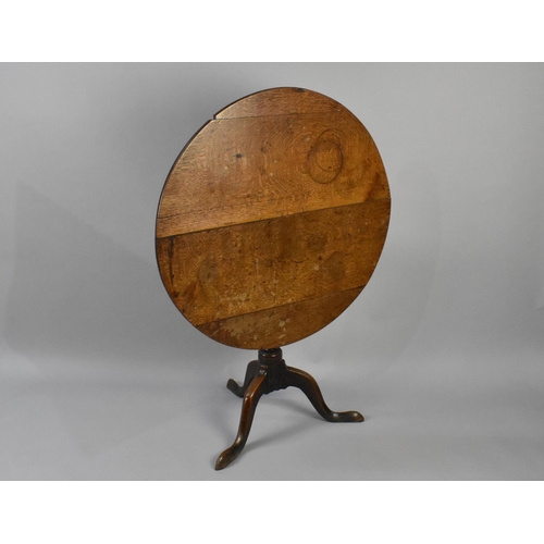 513 - A 19th Century Circular Oak Snap Top Tripod Table, Condition Issues, 84cms Diameter