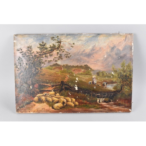 159 - A 19th/20th Century Oil on Canvas depicting Rural Scene with Sheep and Labourers at River, 45.5x30.5... 