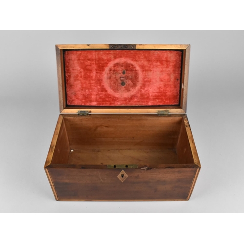 2 - A 19th Century Mahogany and Yew Banded Box, Complete with Key, 31x16x16cms High