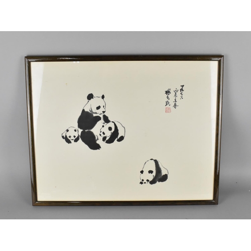 363 - A Framed Chinese Print, Pandas, Frame 52x41cms