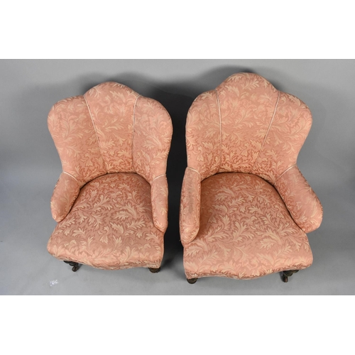 530 - A Near Pair of Edwardian Upholstered Salon Chairs with Shaped Scalloped Back, on Turned Castor Suppo... 