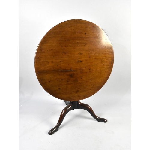 541 - A George III Mahogany Tripod Table with Tilt Top on Turned Barrel Column with Cabriole Supports and ... 