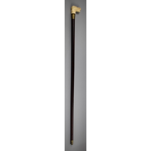 86 - A Novelty Walking Stick with Faux Bone Handle in the Form of a Hounds Head, 85cms Long