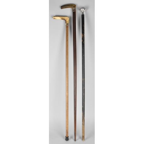 87 - Three Various Vintage Walking Sticks to comprise Two with Horn Handles and One with White Metal Pomm... 