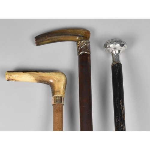 87 - Three Various Vintage Walking Sticks to comprise Two with Horn Handles and One with White Metal Pomm... 