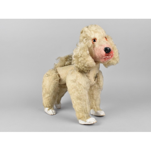 156 - An Early/Mid 20th Century Musical Poodle, 24x28cms High