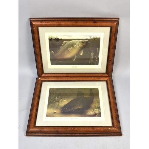 157 - A Pair of Limited Edition framed Sheila Tilmouth Prints 'Carp to Crust' and 'Tempting the Tench', Si... 