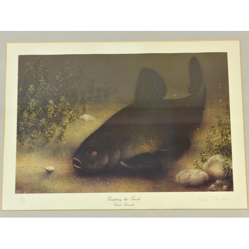 157 - A Pair of Limited Edition framed Sheila Tilmouth Prints 'Carp to Crust' and 'Tempting the Tench', Si... 