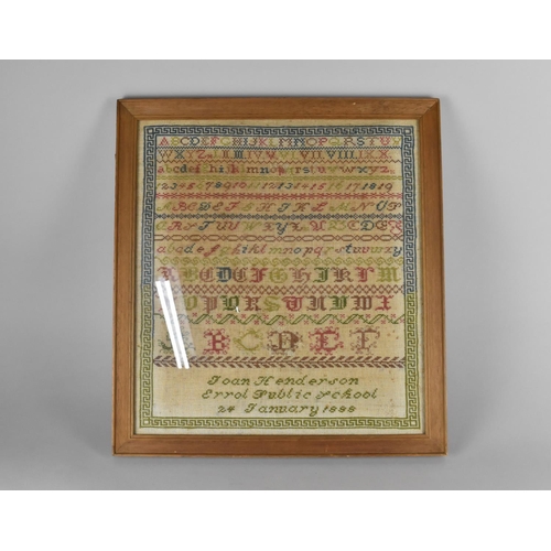 185 - A Framed Late 19th Century Sampler by Joan Henderson-Errol Public School Dated Jan 1888, Framed and ... 