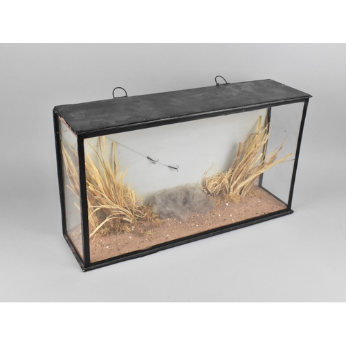 4 - A Taxidermy Case with Naturalistic Setting with Plaque in top Right hand Corner 'Presented by J. Coo... 